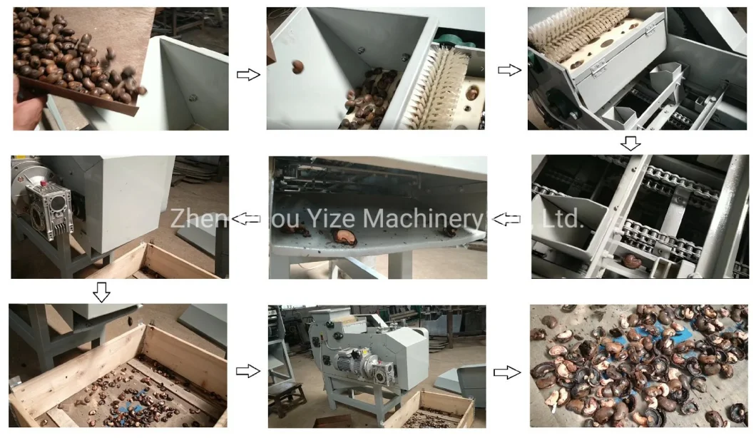 Electric Cashew Nut Processing Breaking Shelling Machine