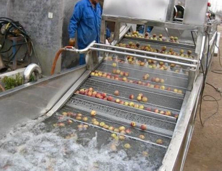 Factory Direct Orange Fruit Sugarcane Washing Machine and Sorting