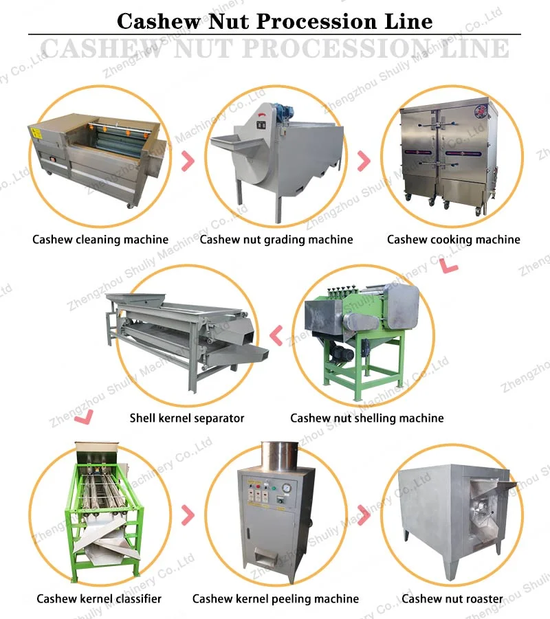 Automatic Cashew Nut Shelling Unit Cashew Nut Drying Peeling Machine
