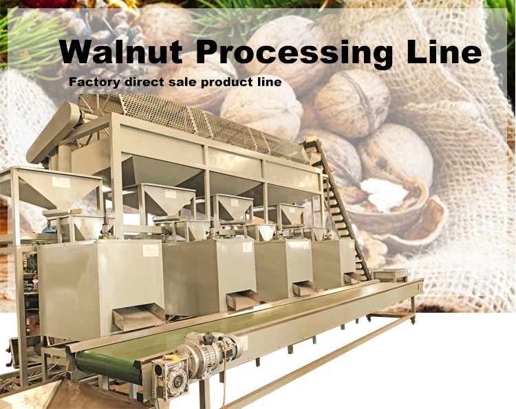 Equipment for Cleaning Walnut Shell Crusher Commercial Walnut Macadamia Nut Sheller Huller Machine