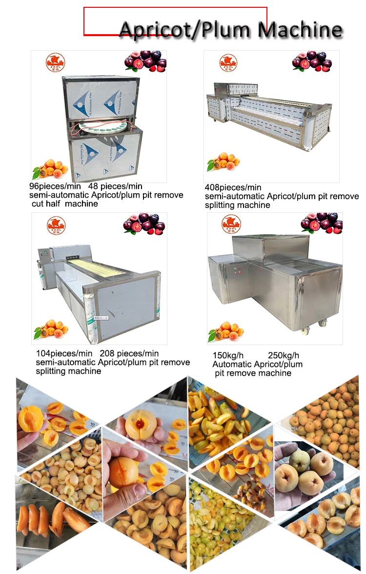 Commercial Dates Pitting Machine Fruit Coring Seed Removing Plum Olive Cherry Pitting Machine