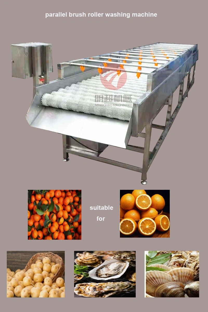 Peeling and Washing Machine for Root Vegetable and Fruit