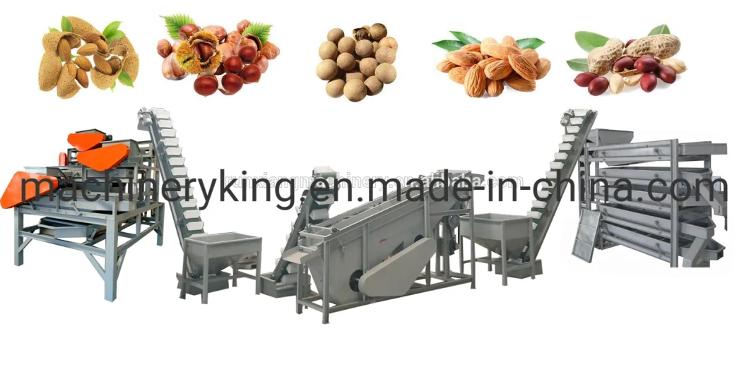 Macadamia Nut Cracking Machine