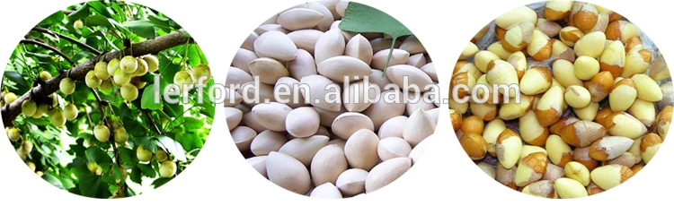 Easy to Operation Ginkgo Biloba Peeling Pistachio Nut Sheller Machine