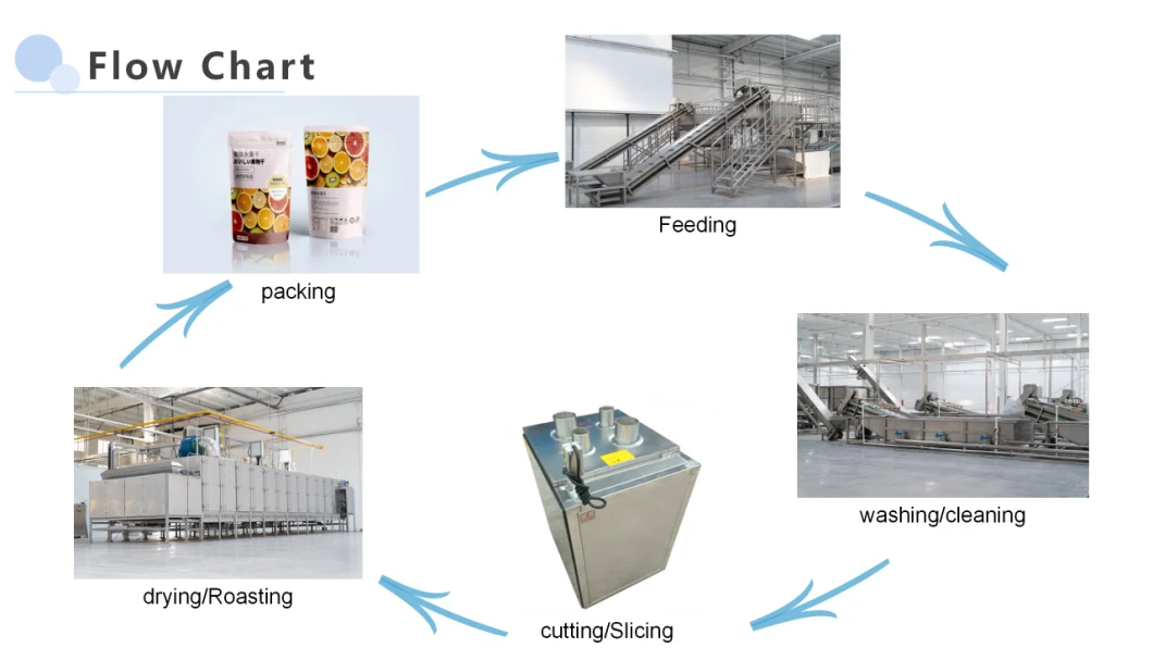 Nut Processing Roasting Machine Dryer Nut Roasting Machine