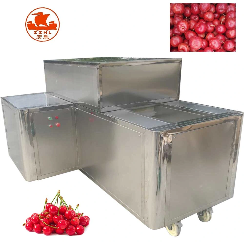 Commercial Dates Pitting Machine Fruit Coring Seed Removing Plum Olive Cherry Pitting Machine