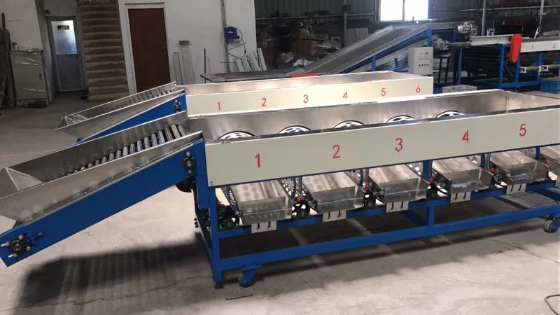 Large Capacity Garlic Potato Tomato Grading Machine Pomegranate Sorting Machine