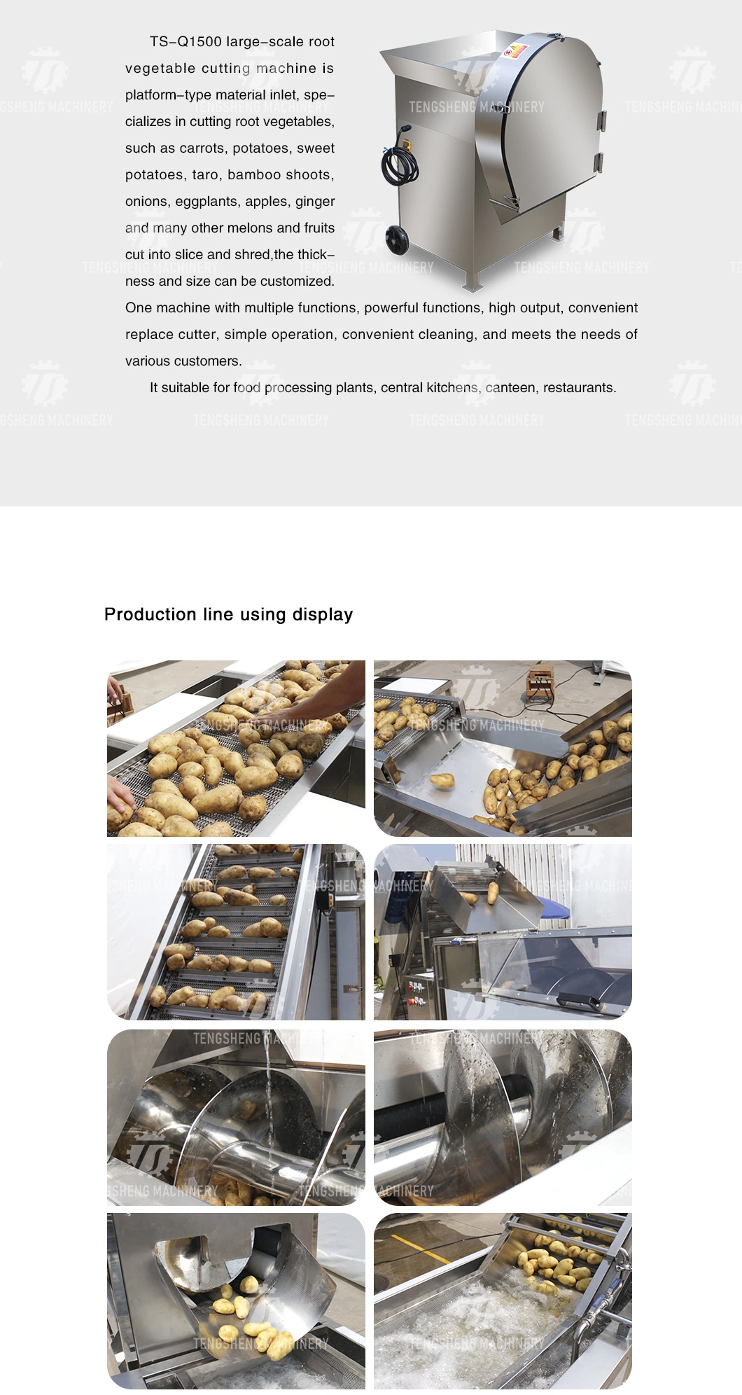 Vegetable and Fruit Potato Sweet Potato Picking Hair Roller Bubble Washing Drying Cutting Machine Production Line