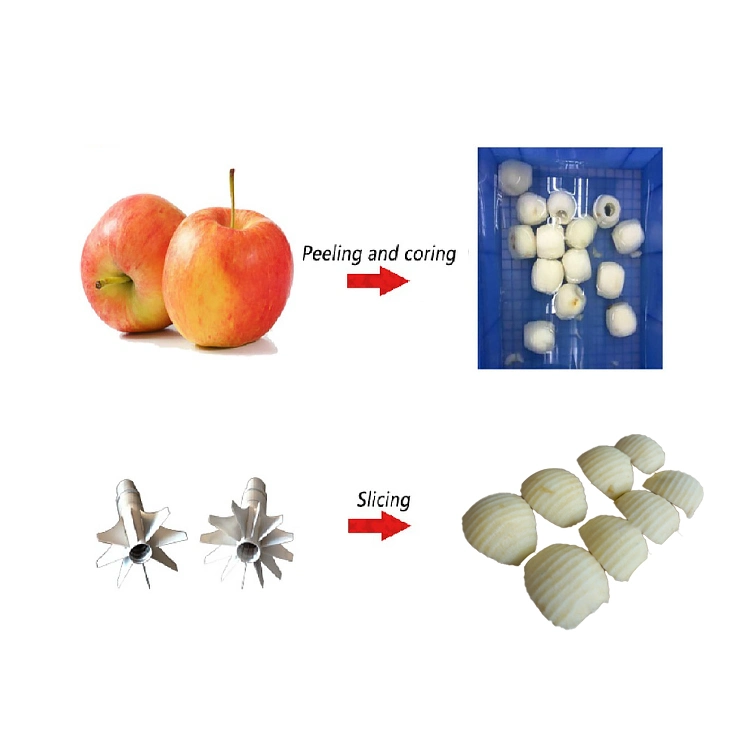 Factory Supply Desktop Commercial Fruit Skin Removing Machine Apple Orange Peeling Machine Coring and Slicing Equipment Apple Peeling Coring and Cutting Machine