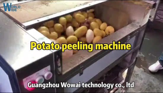 La pelle automatica del ravanello rimuove la lavatrice del peeling della carota della frutta della verdura dello zenzero della patata