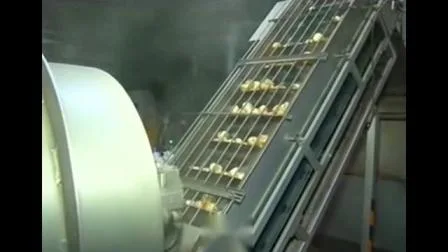 Linee di lavorazione della macchina per patatine fritte Linea di produzione per patatine da 100 kg