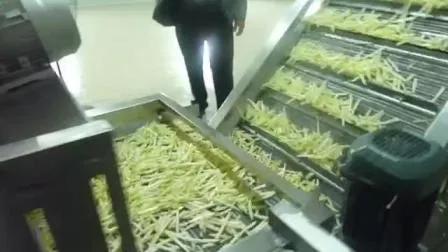 Linea di produzione completamente automatica di fette di banana/patatine fritte/patatine fritte congelate
