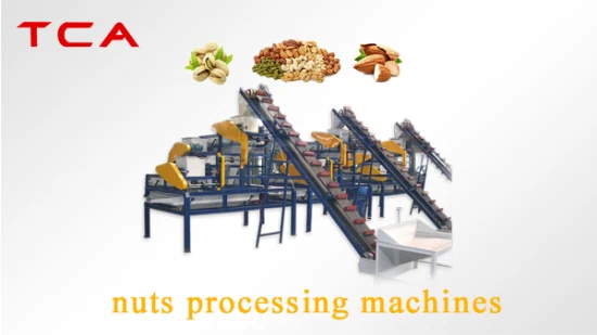 Pelapatate automatico per noci di macadamia di alta qualità TCA, sbucciatrice per nocciole, linea di macchine per la produzione di anacardi a prezzo