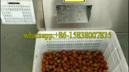 Denocciolatrice per prugne/denocciolatore di ciliegie/denocciolatore di frutta completamente automatico ad alte prestazioni