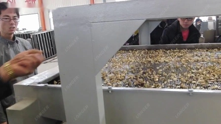 Pelapatate industriale per pinoli, decorticatore di semi, separatore, macchina per la rimozione del guscio di semi di girasole