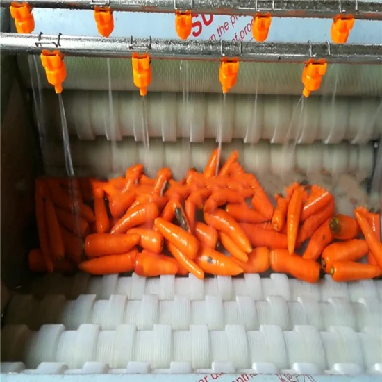 Macchina multifunzione per la rimozione della pelle delle patate allo zenzero, per il lavaggio delle carote, per la pulizia delle carote