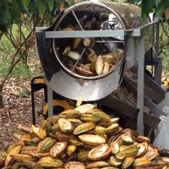 Macchina commerciale per frantumazione di baccelli di cacao freschi, sbucciatrice per baccelli di cacao