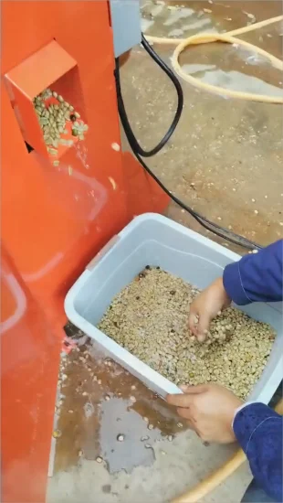 Macchina per lo sgusciatore dello scafo della polpa di frutta fresca dell'estrattore del chicco di caffè della fabbrica della Cina