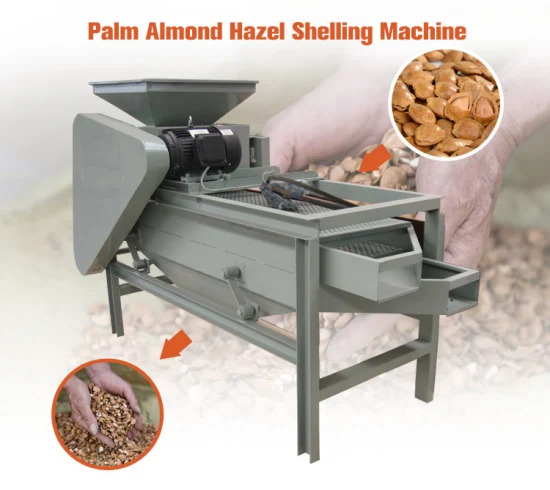 Vendita calda Noci Noci Pecan Mandorle Pelatrice Pinoli Palm Cracking Machine