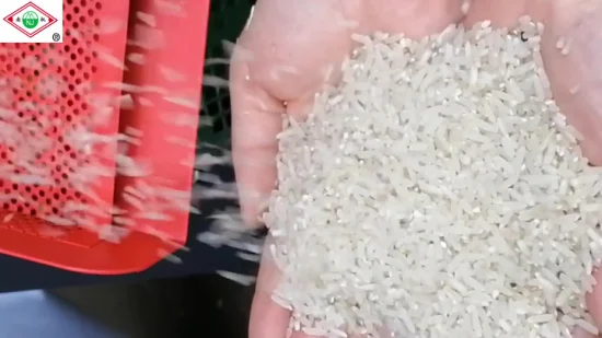 Macchina automatica per la lavorazione della riseria Macchina per il mulino della buccia di riso Macchinari per la lavorazione del grano